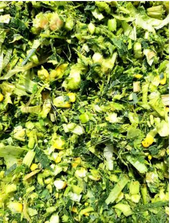 Green Wood Corn Silage
