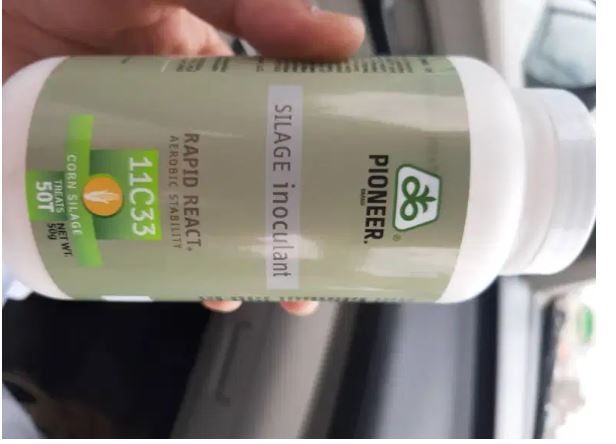 Green Wood Corn Silage