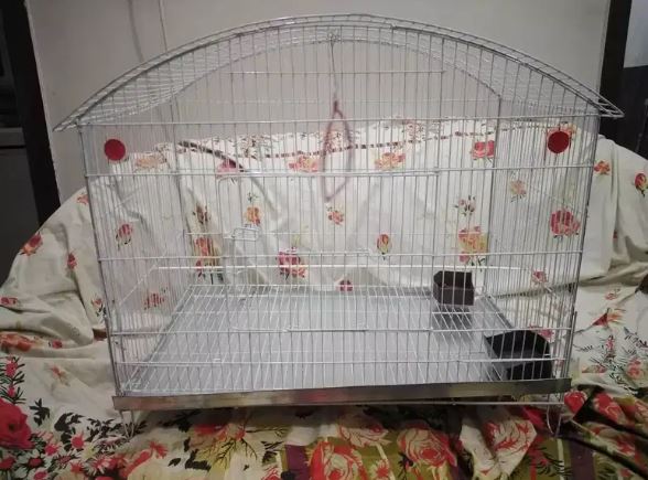 Cage/pingara and breeding boxes available