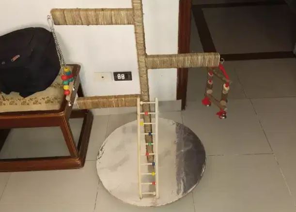 Parrot stand available for sale