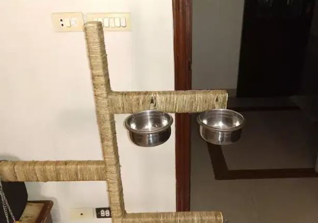 Parrot stand available for sale