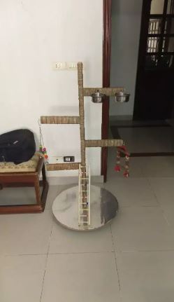 Parrot stand available for sale