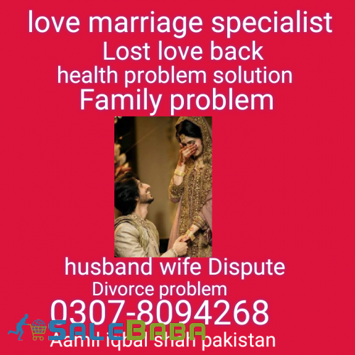 Love marriage Specialist no1 Aamil