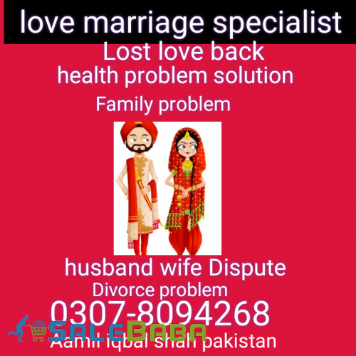 Love marriage Specialist no1 Aamil