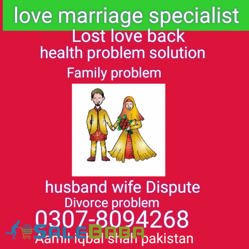 Love marriage Specialist no1 Aamil
