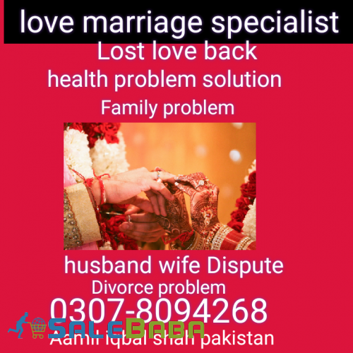 Love marriage Specialist no1 Aamil