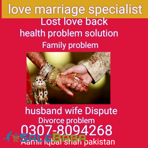 Love marriage Specialist no1 Aamil