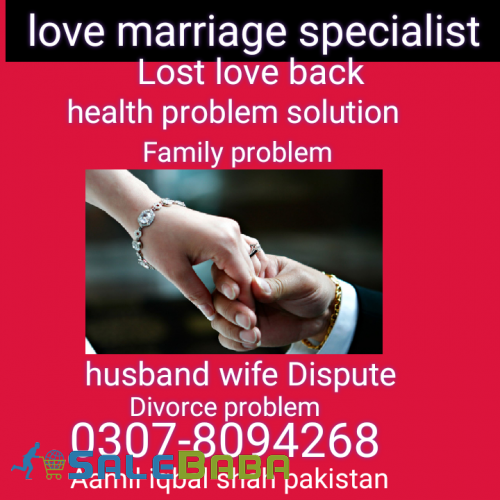 Love marriage Specialist no1 Aamil