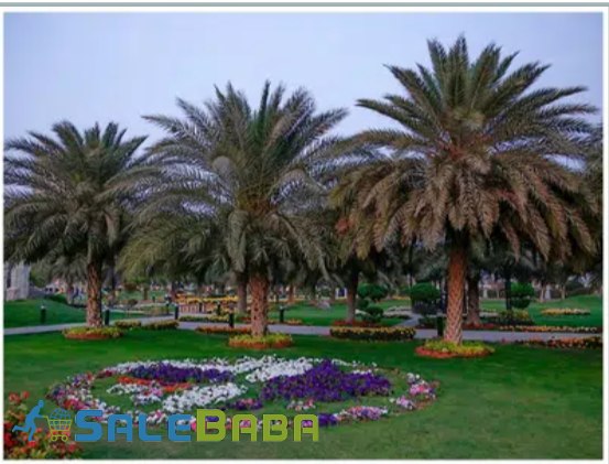 5 Marla Residential Plot for Sale in Park View City Multan