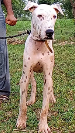 Ege 5 months