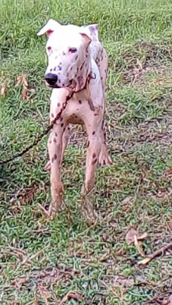 Ege 5 months