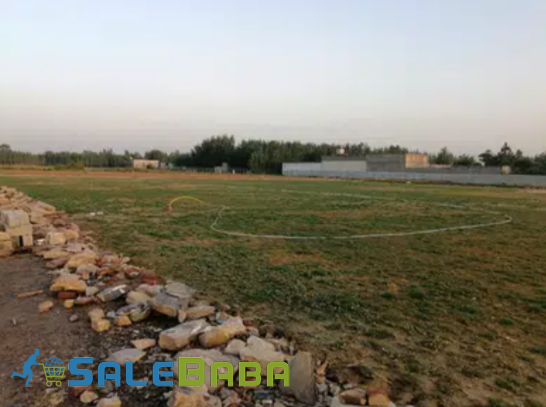 5 Marla Residential Plot For Sale In Mardan