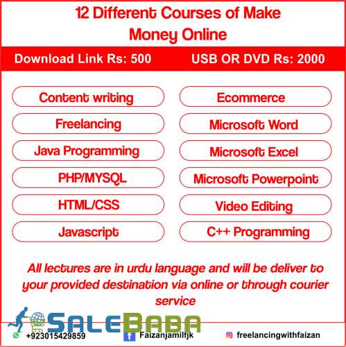 Pre  Recorded Urdu Computer Courses   Digital Downloads
