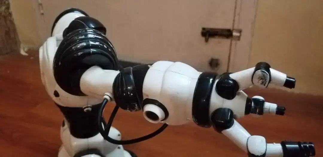 White Robot remote for sale
