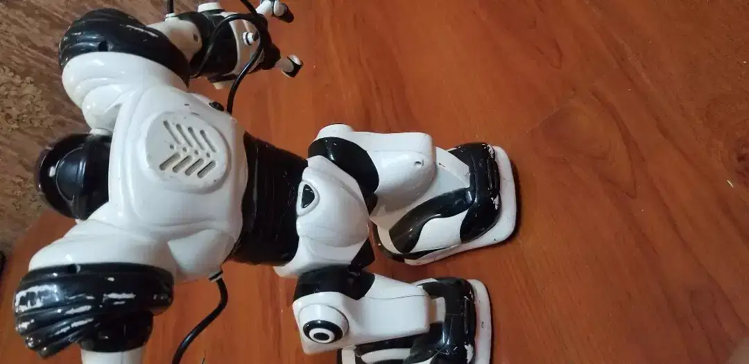 White Robot remote for sale