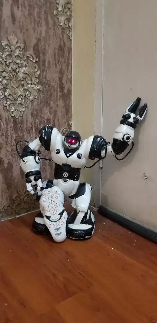 White Robot remote for sale