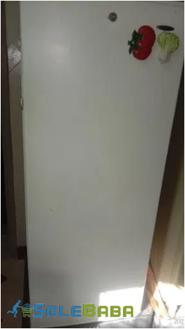 Waves Standing Freezer for Sale in Gujrat