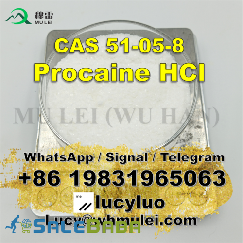Anesthetic Procaine Hydrochloride Powder Procaine HCl for sale