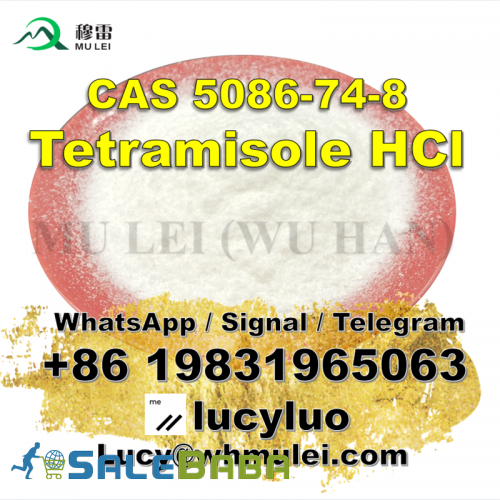 Warehouse Stock Tetramisole Hydrochloride Powder CAS 5086748