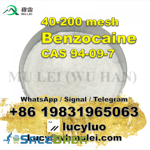 Buy top quality 40mesh benzocaine raw powder china supplier