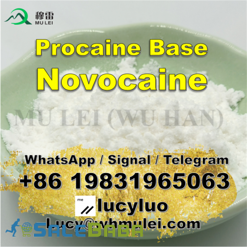 Anesthetic Procaine Hydrochloride Powder Procaine HCl for sale