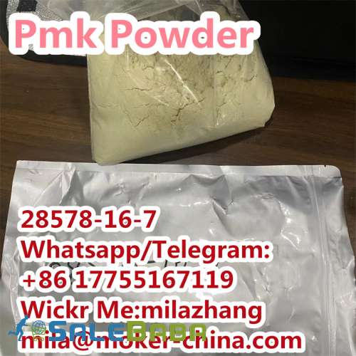 Professional Supplier High Purity PMK Powder