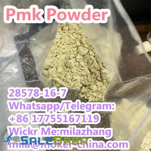 Professional Supplier High Purity PMK Powder