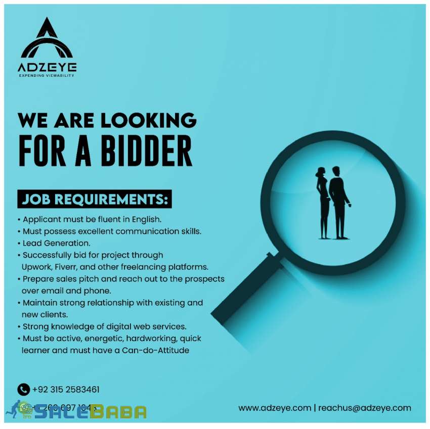 We are looking for a bidder Business Developer  Online Bidding Expert