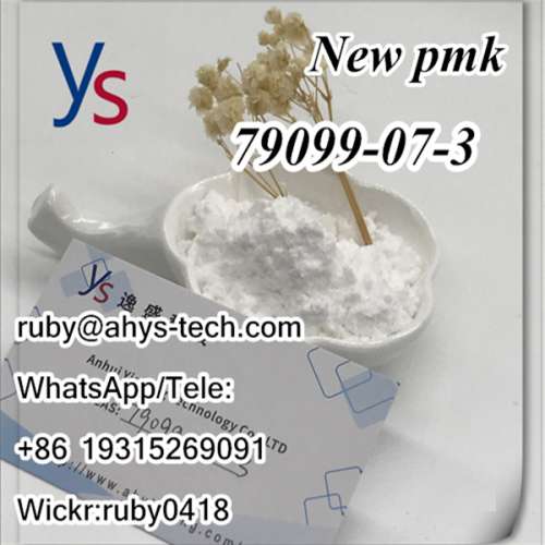 pmk powder Cas 79099high quality with best price