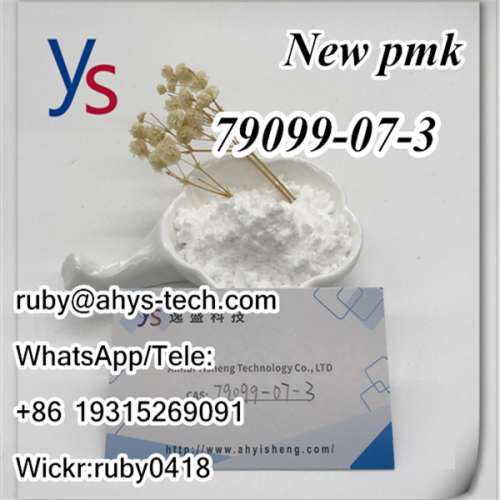 pmk powder Cas 79099high quality with best price