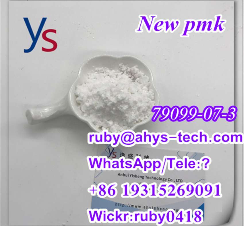 pmk powder Cas 79099high quality with best price