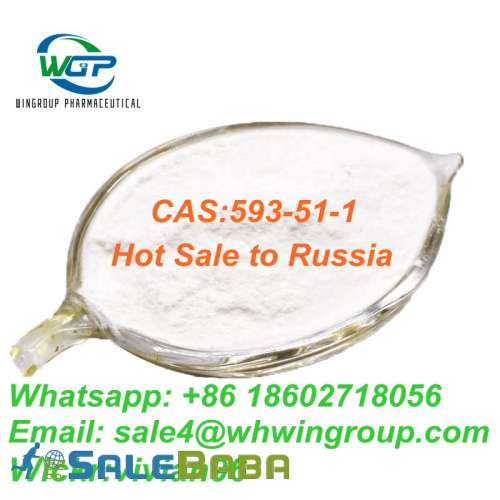 Factory Supply 99 Purity Methylamine Hydrochloride CAS 59351 With Safe Deliv