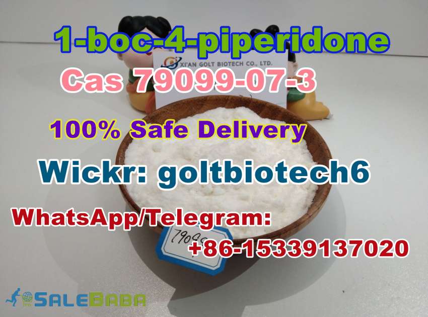 Cas 79099073 1boc4piperidone Wickr goltbiotech6