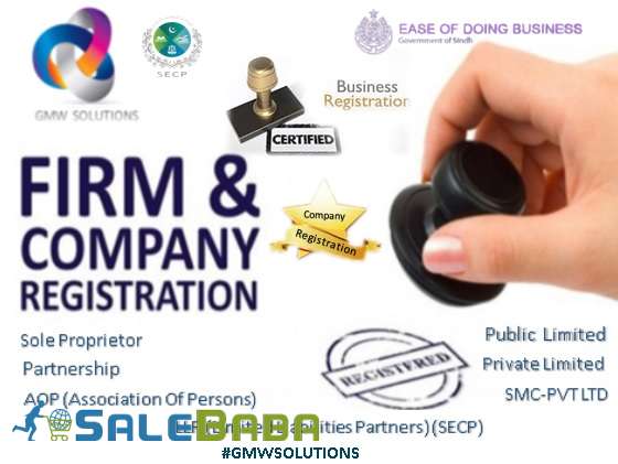 Company Registration, PSW, Chamber Certificate and Other Business Services