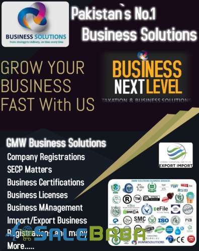 Company Registration, PSW, Chamber Certificate and Other Business Services