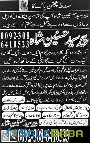 Famous Astrologer Scholars centre online love marriage