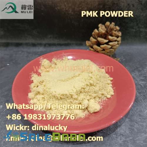 Chemical Research PMK powder China Direct Sales