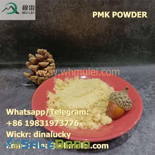 Chemical Research PMK powder China Direct Sales