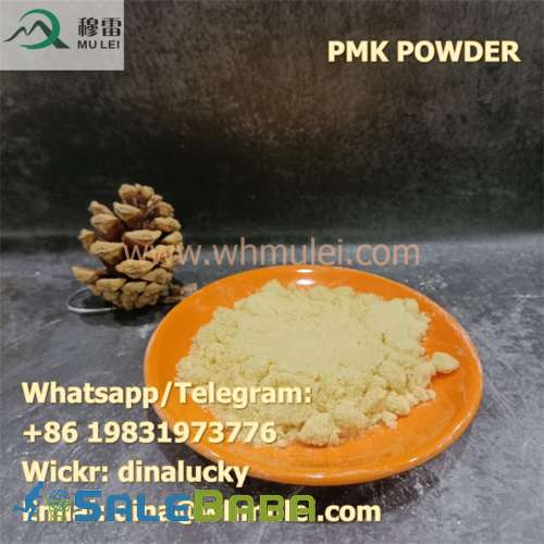 Chemical Research PMK powder China Direct Sales