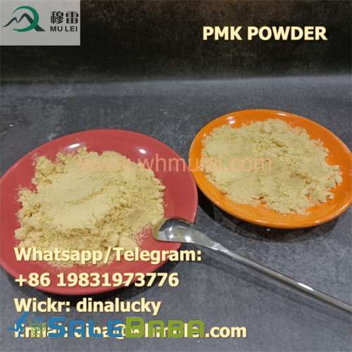 Chemical Research PMK powder China Direct Sales