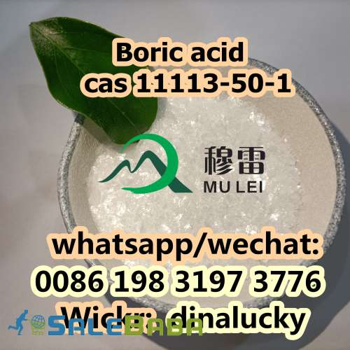 Factory Supplier Boric acid with Free Sample