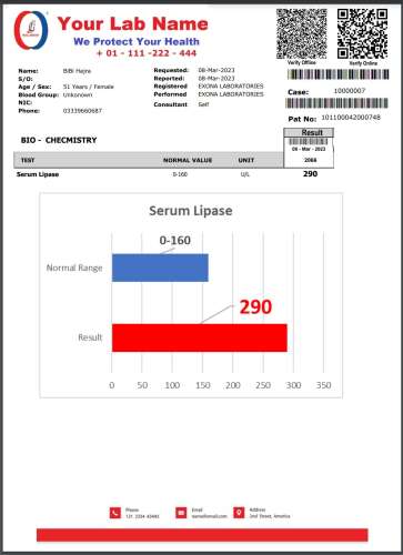 Reportooo  New Medical Lab Online Software