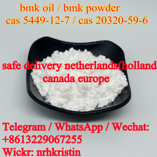 High yield rate BMK glycidate powder CAS 5449127 China bmk supplier new bmk oi