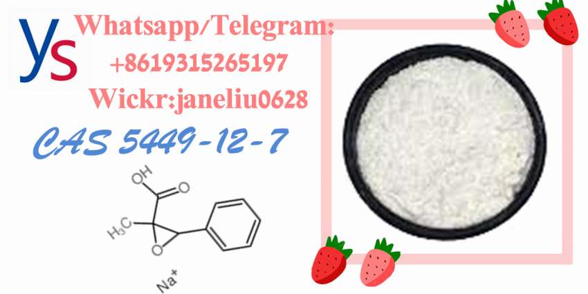 cas 5449127 New BMK Glycidic Acid for sale in Canada