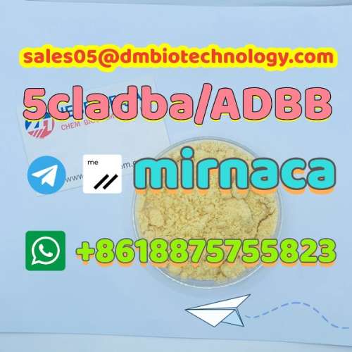 Buy 5cladba Online Buy 5clAdb Powder Buy 6cladba Wickrmirnaca