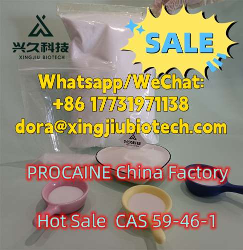 China Factory PROCAINE 59461 Safe Customs