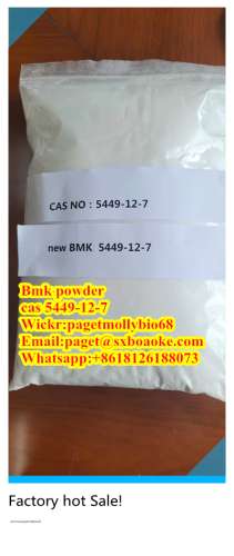 Reliable manufacturer Direct supply New BMK Powder CAS 5449127