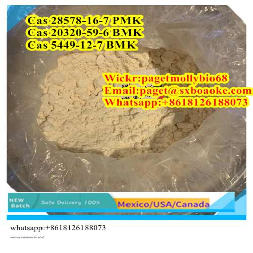 Reliable manufacturer Direct supply New BMK Powder CAS 5449127