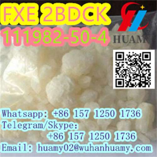 fxe 2fdck 111982504 with high quality