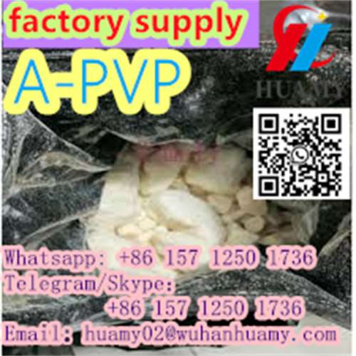 manufactory APVP 14530337 with fast delivery